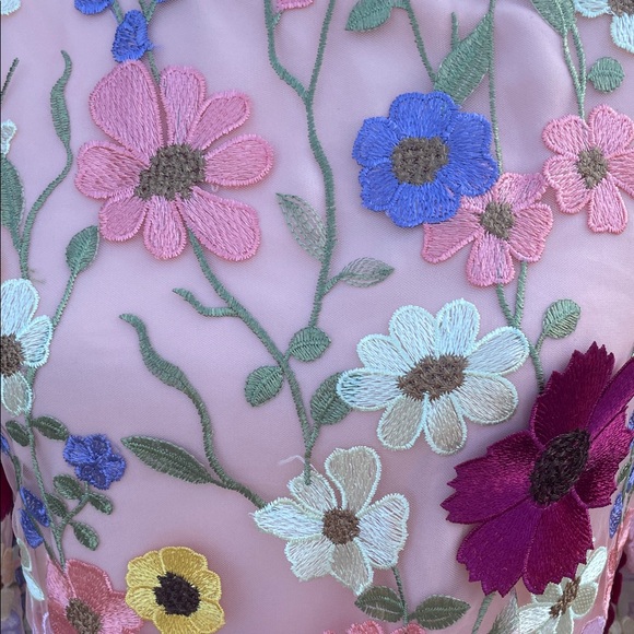 Storia Sheer Dress with Full Length Liner and Floral Embroidery - Picture 11 of 13